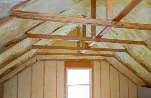 Best Insulation Maintenance and Repair in Nuevo, CA