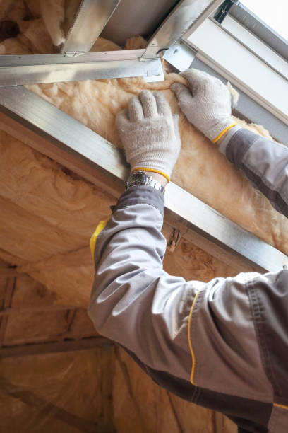 Best Specialized Insulation Services in Nuevo, CA