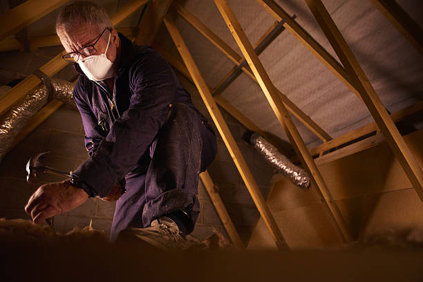 Best Eco-Friendly Insulation in Nuevo, CA